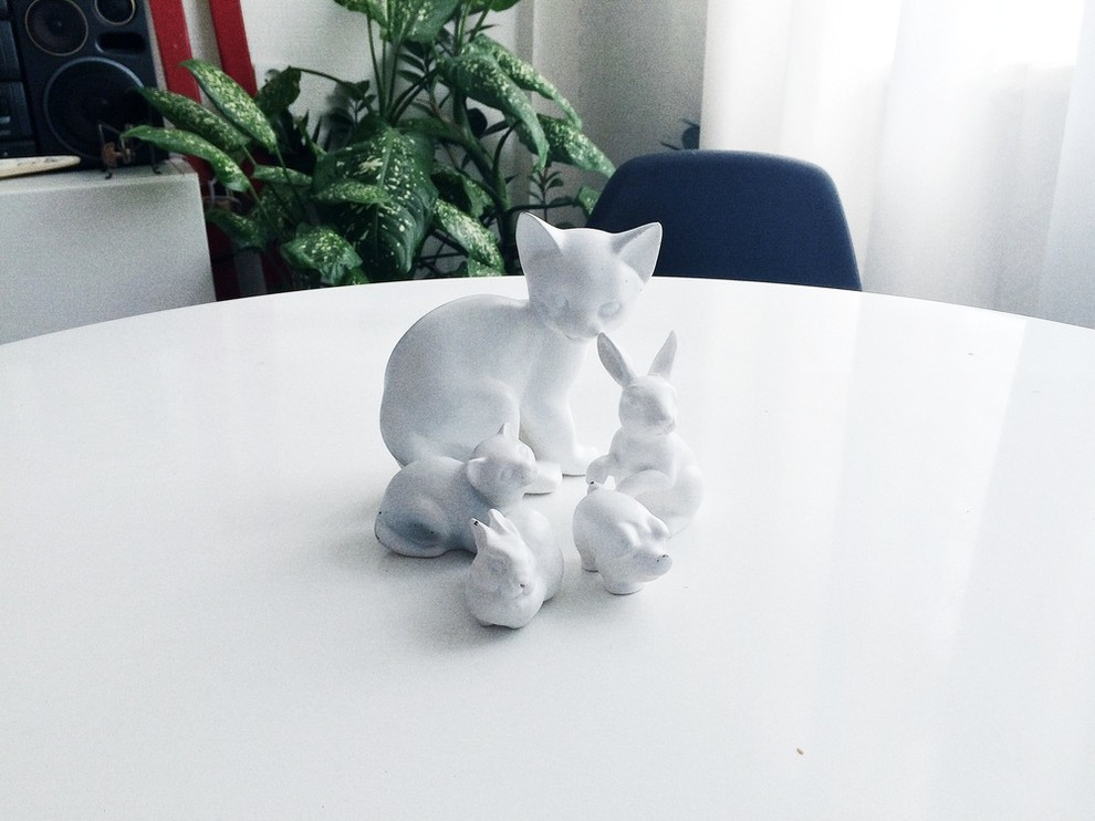 Houzz тур: Как сделать ремонт съемной квартиры за один месяц?