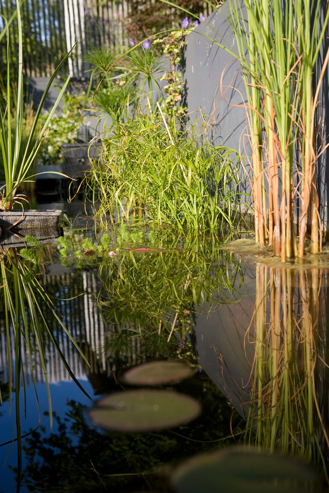 Houzz Франция: Модульный дом с «подвыподвертом»