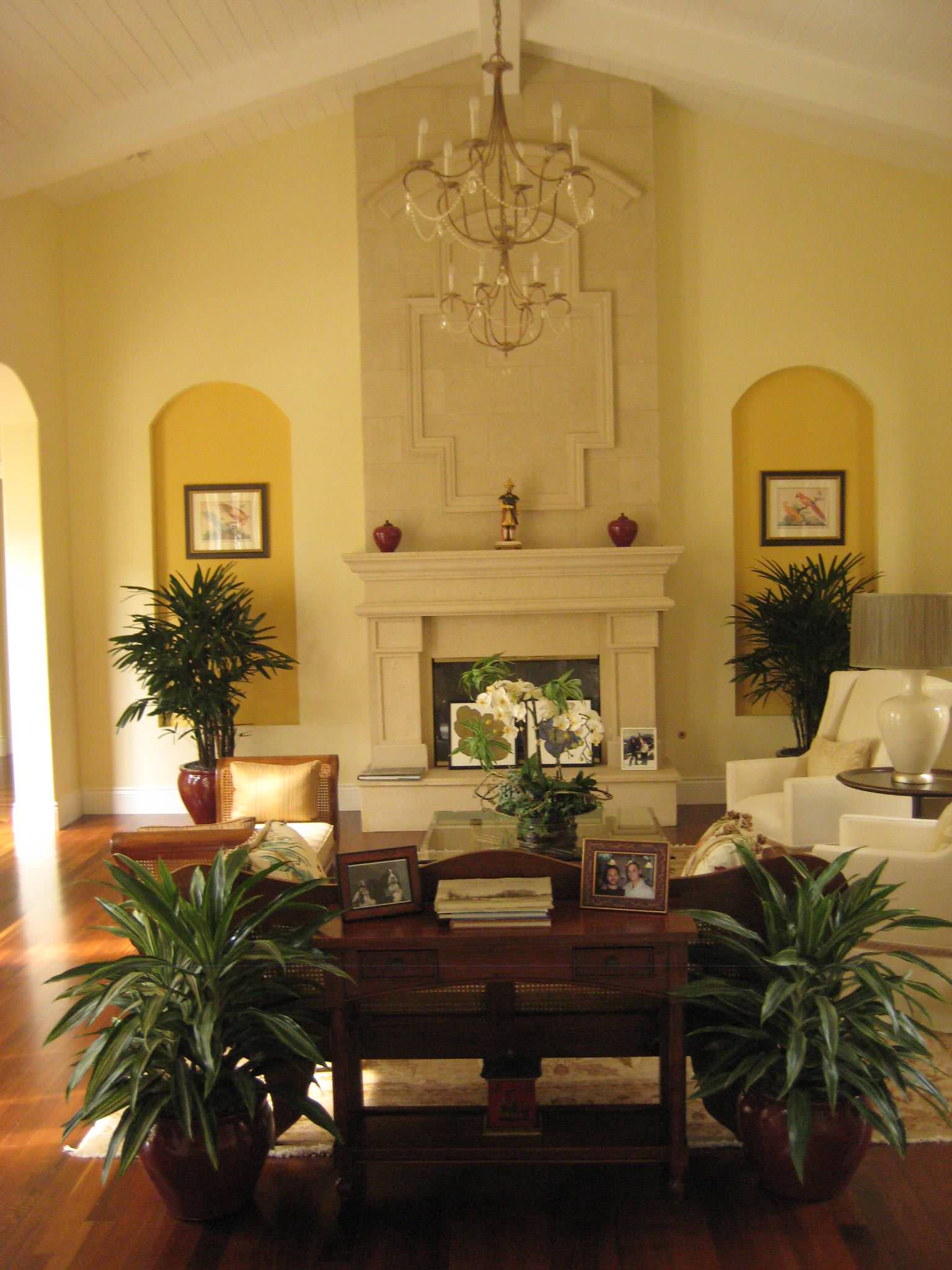 Сам себе фитодизайнер: Стратегии размещения комнатных растений