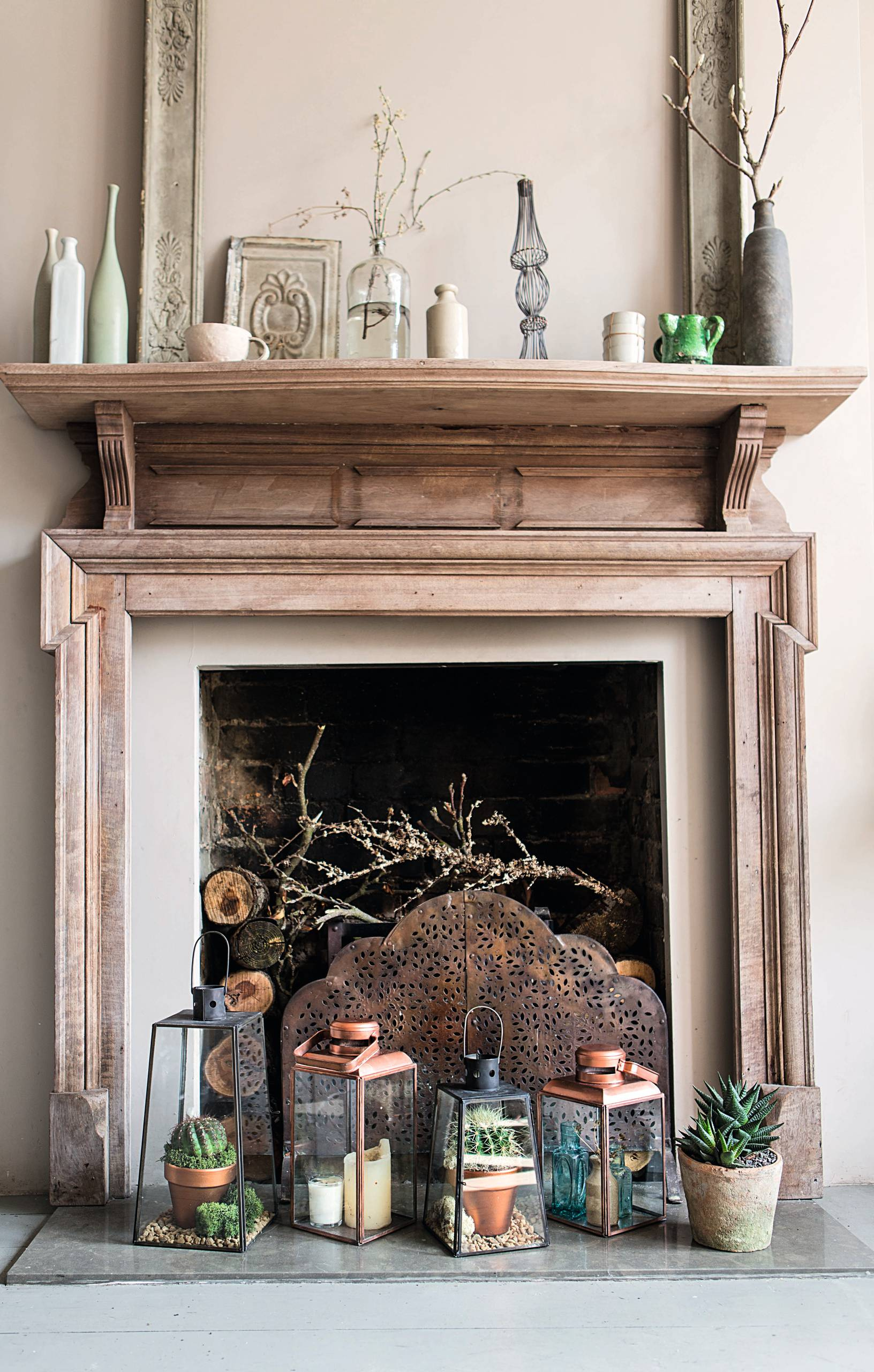 Сам себе фитодизайнер: Стратегии размещения комнатных растений