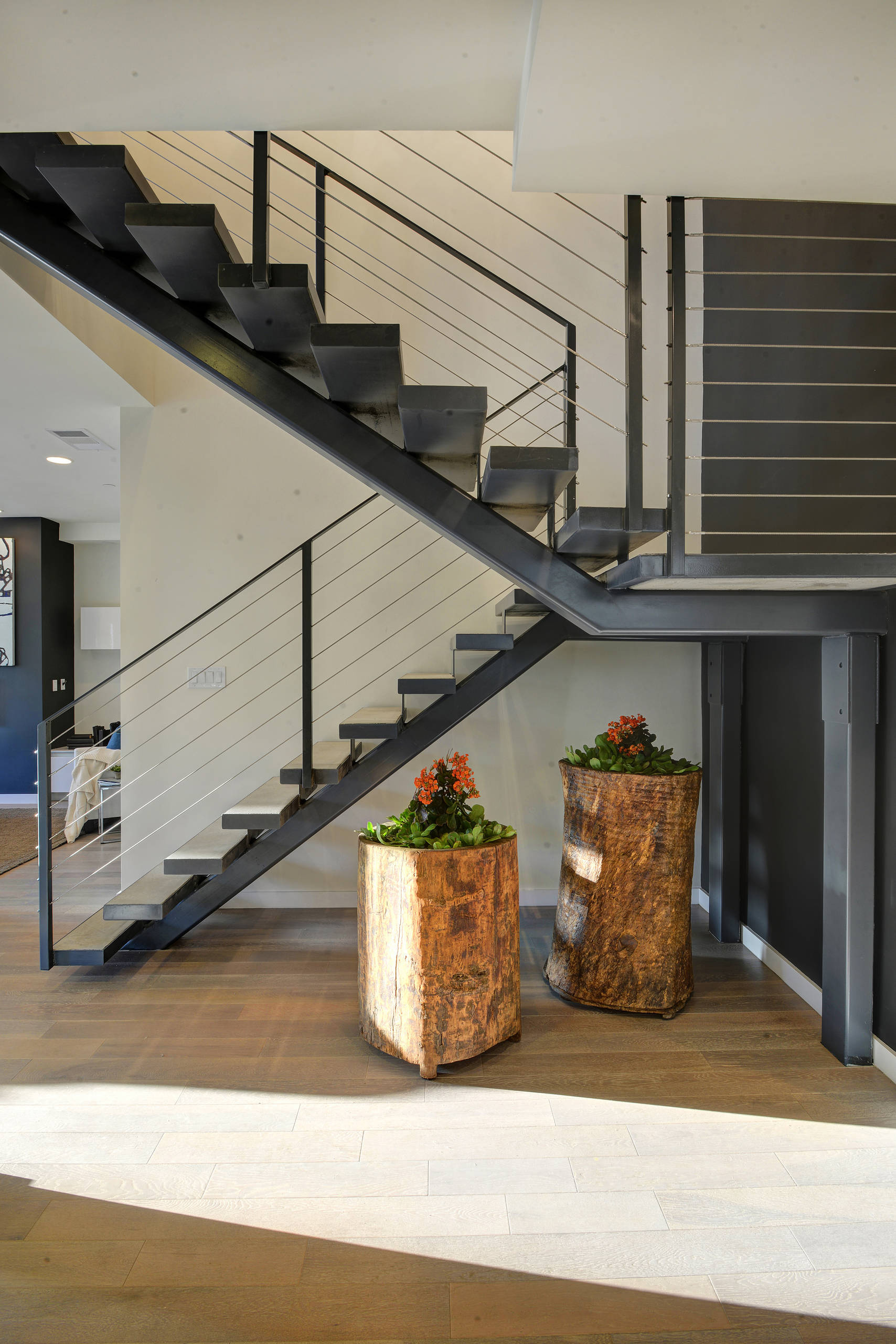 Сам себе фитодизайнер: Стратегии размещения комнатных растений