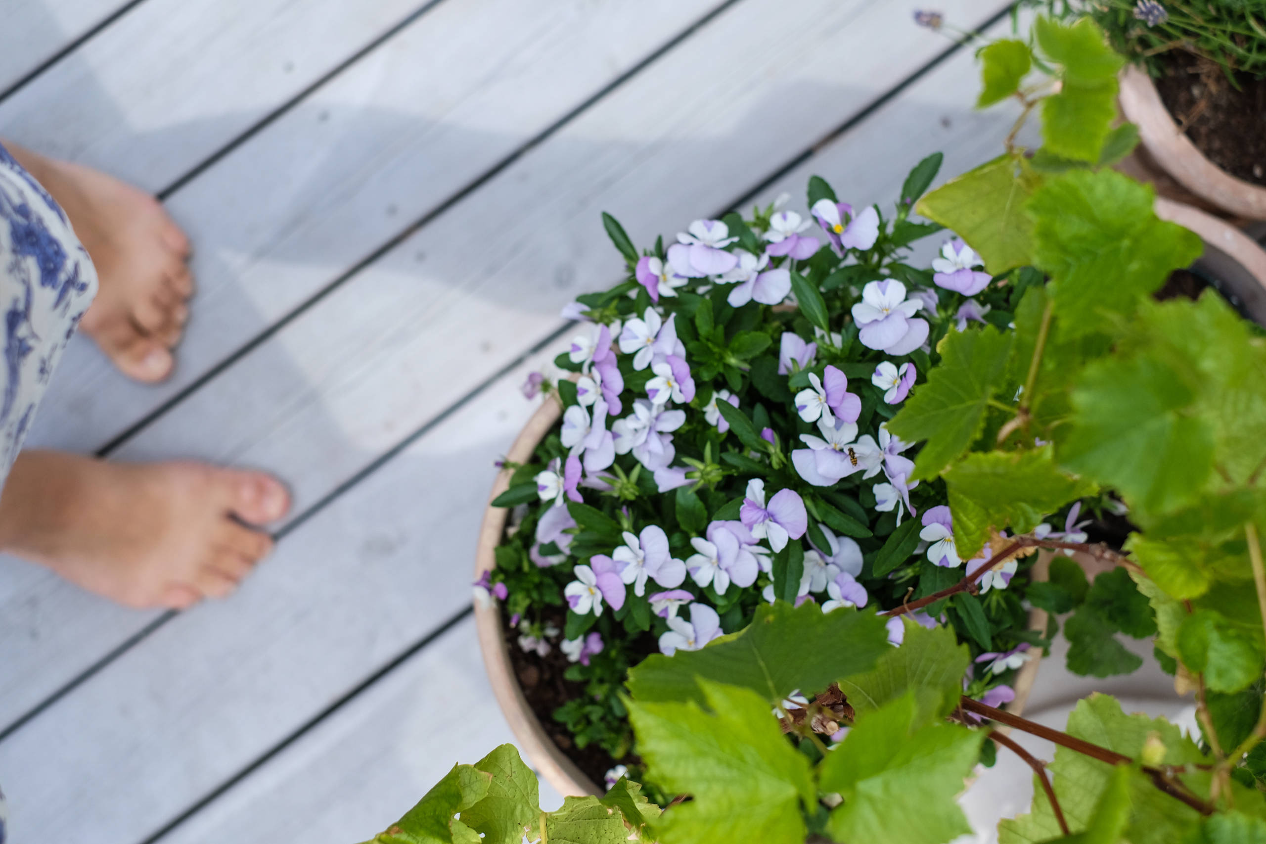 Houzz Швеция: Жизнь как за городом — на юге Стокгольма