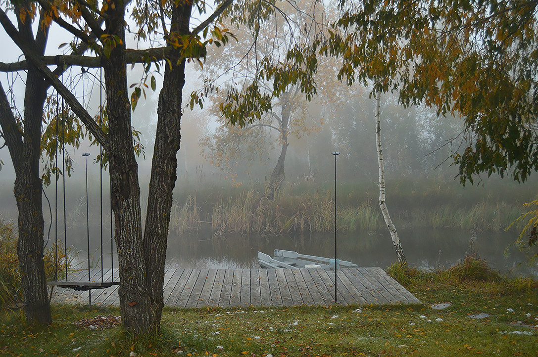 Houzz Белоруссия: Сад в тумане