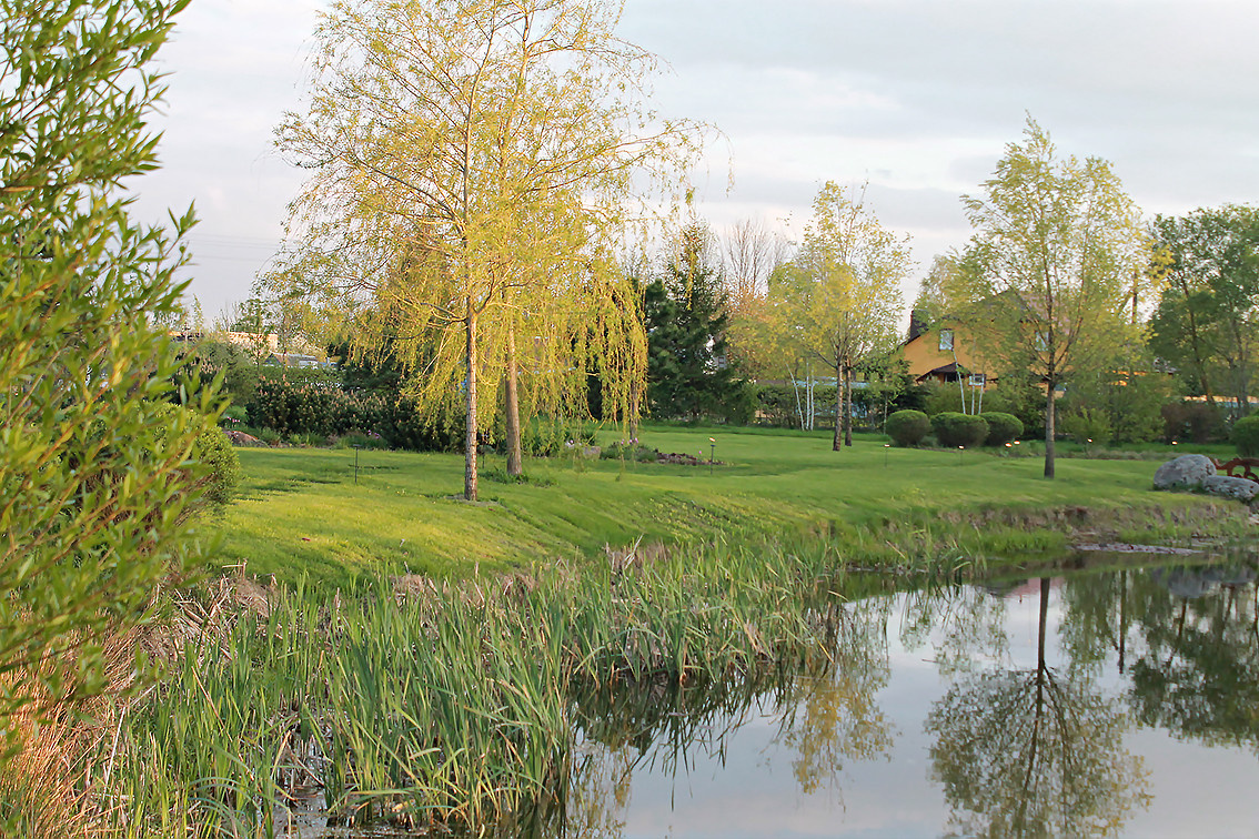 Houzz Белоруссия: Сад в тумане