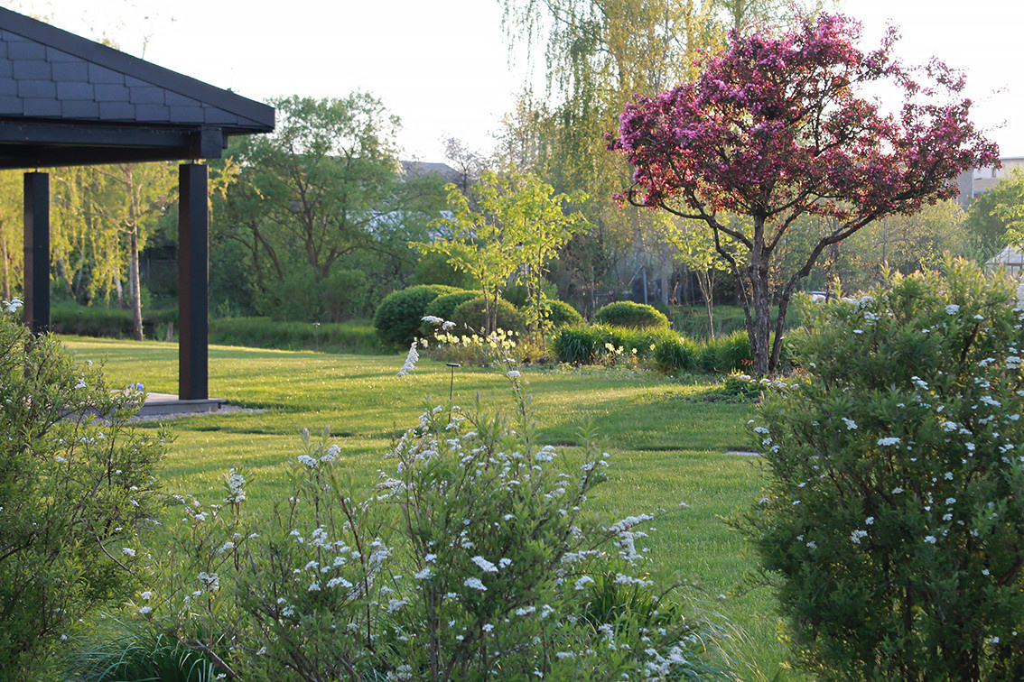 Houzz Белоруссия: Сад в тумане