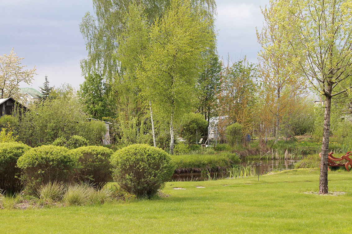 Houzz Белоруссия: Сад в тумане