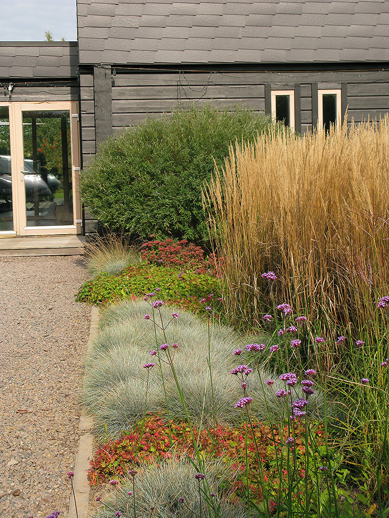 Houzz Белоруссия: Сад в тумане