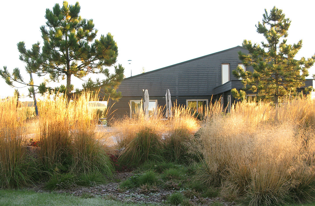 Houzz Белоруссия: Сад в тумане