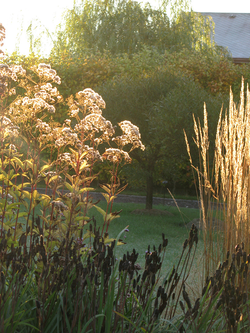 Houzz Белоруссия: Сад в тумане