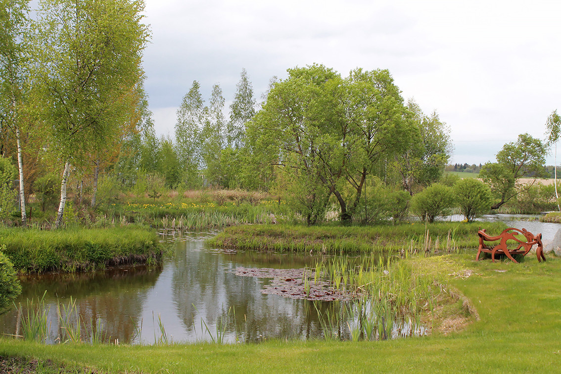 Houzz Белоруссия: Сад в тумане