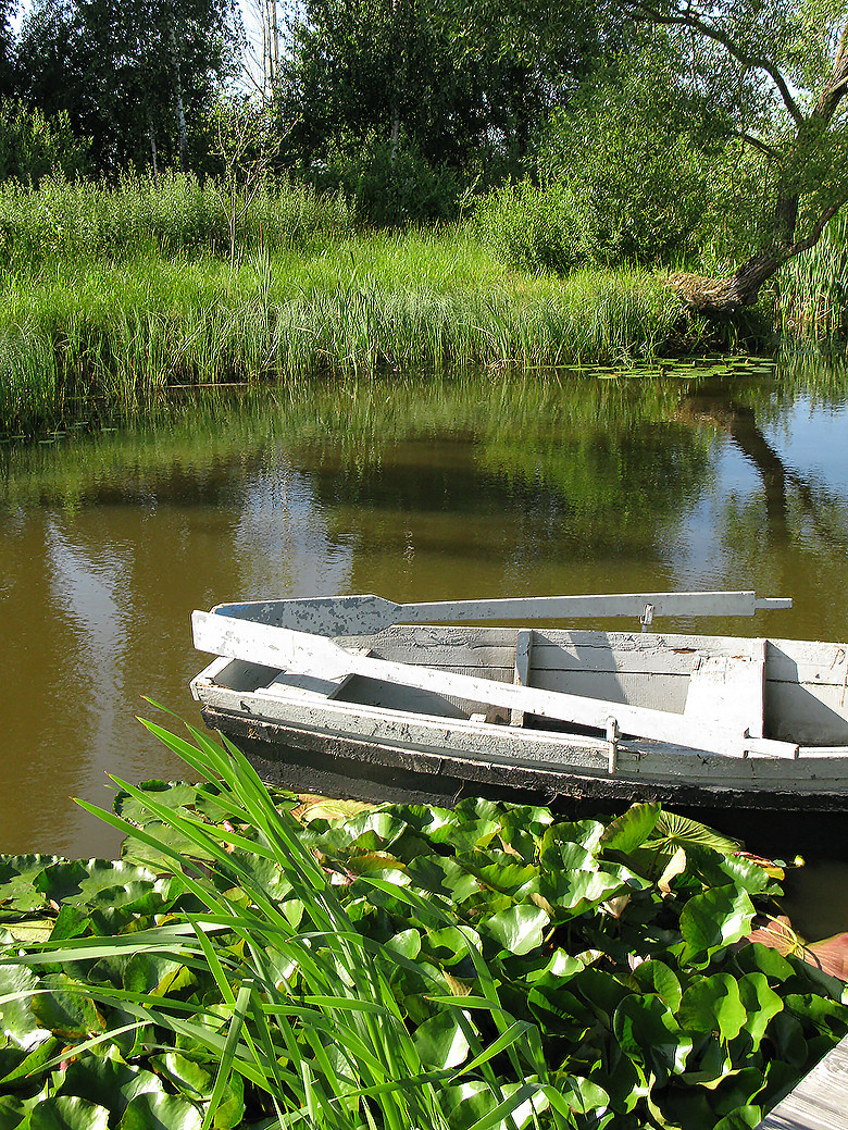 Houzz Белоруссия: Сад в тумане