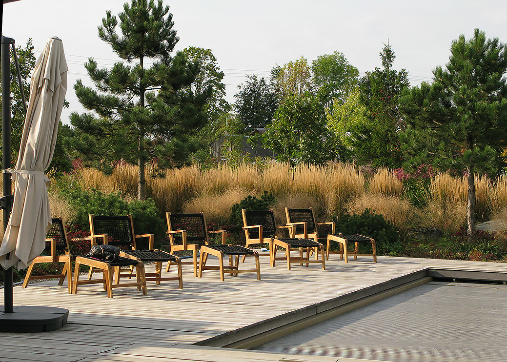 Houzz Белоруссия: Сад в тумане