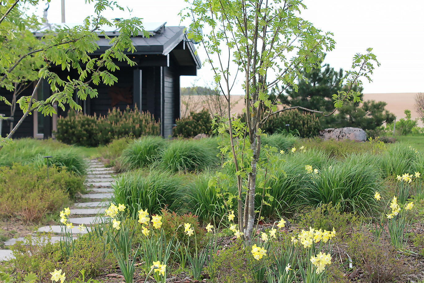 Houzz Белоруссия: Сад в тумане