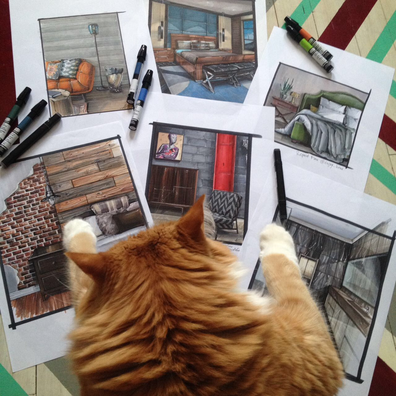 Ситуация: Заказчики разводятся в процессе ремонта