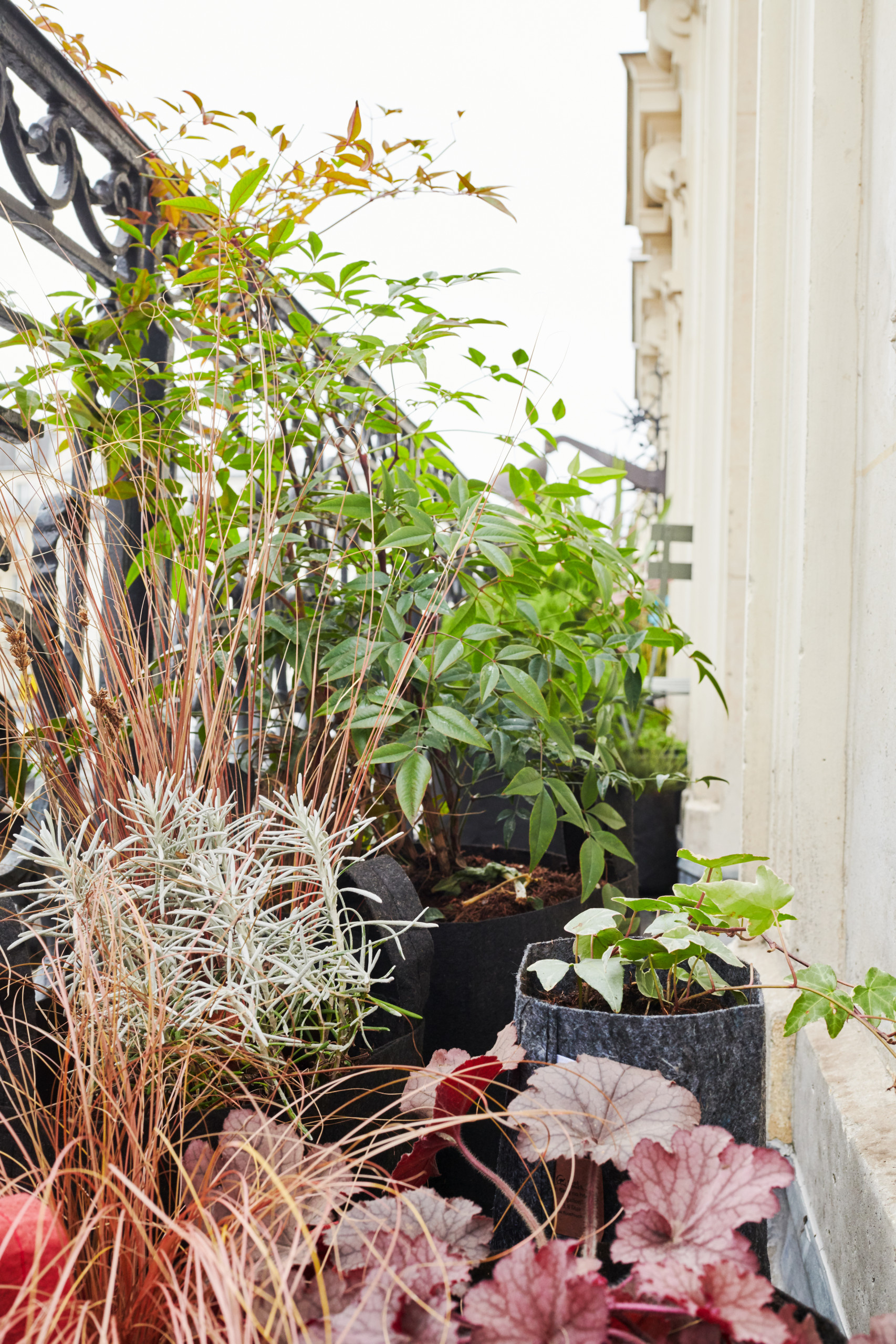 6 проектов: Что сажают на своих балконах французы