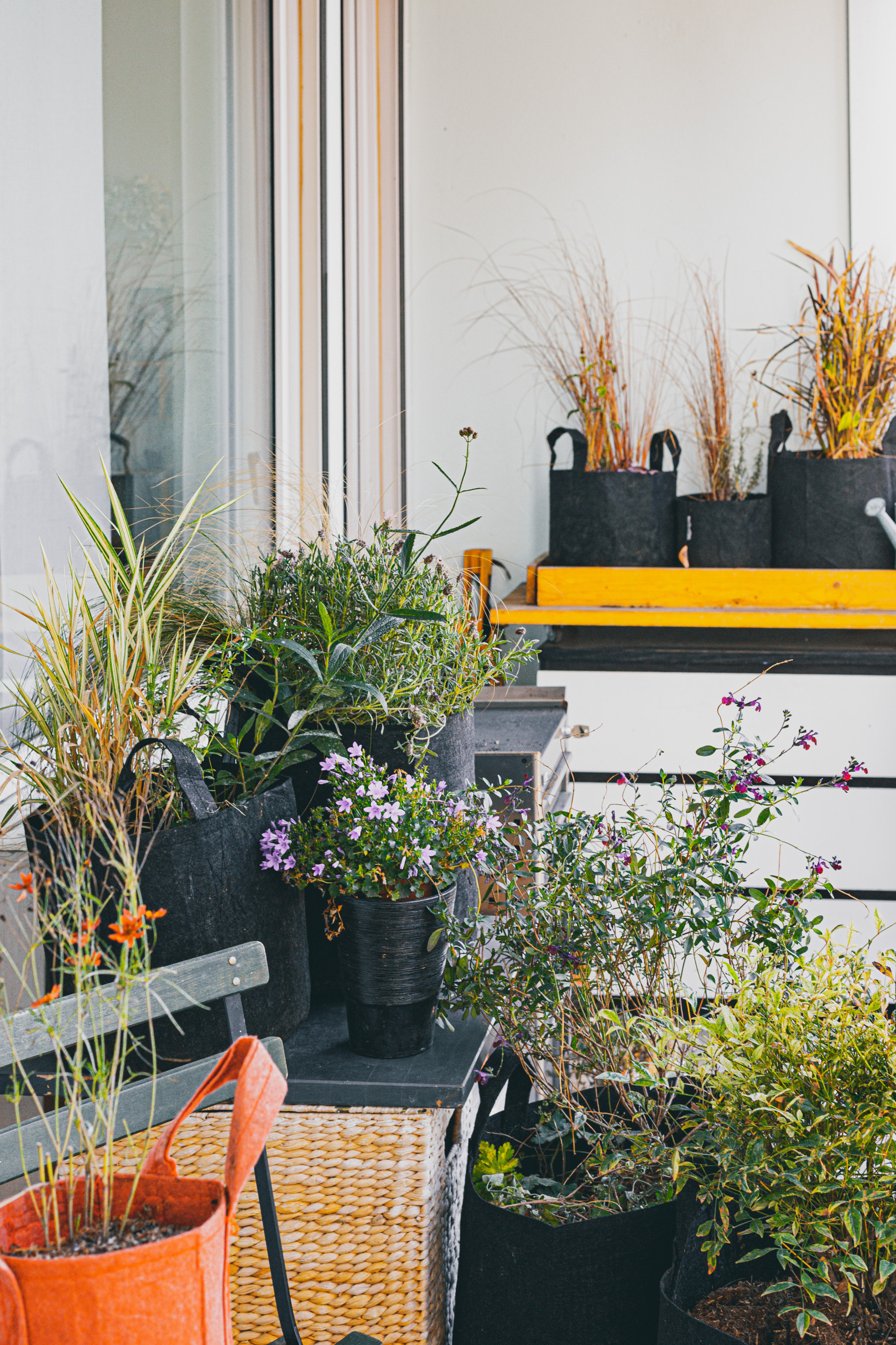 6 проектов: Что сажают на своих балконах французы