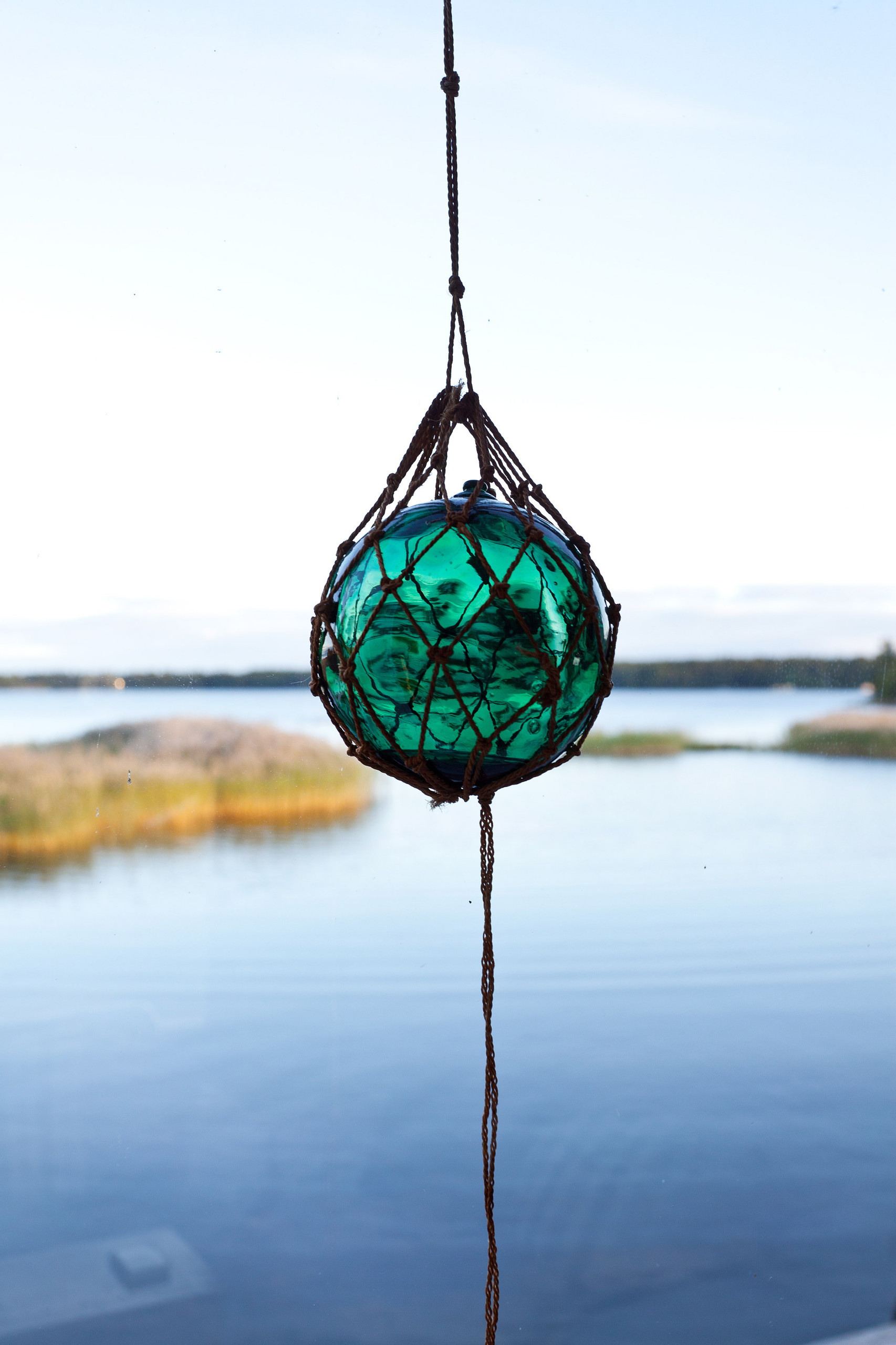 Традиции: Когда ставят елку в разных странах мира