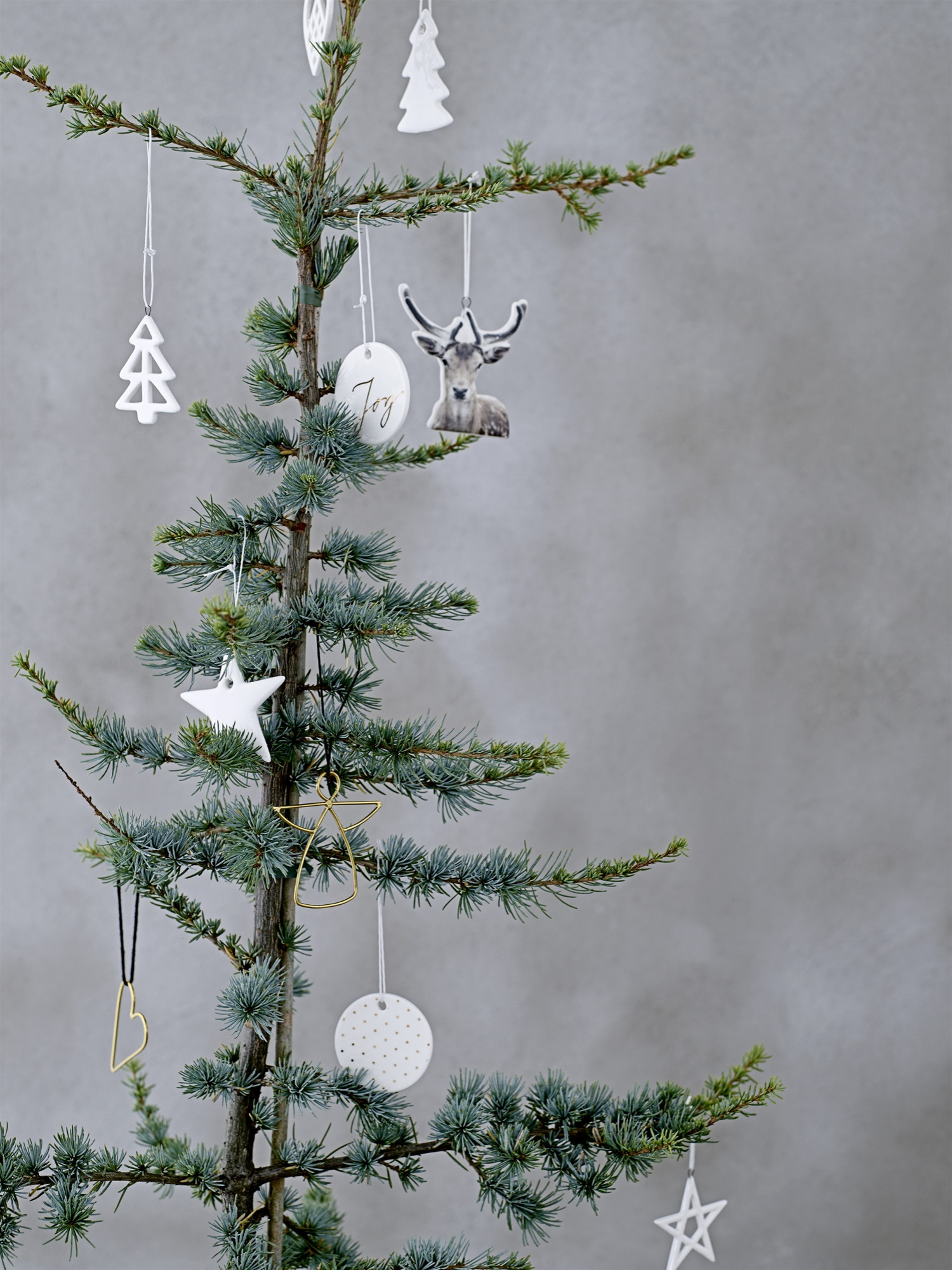 Традиции: Когда ставят елку в разных странах мира