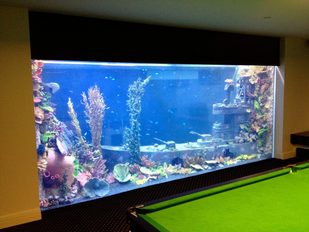 Водный мир: Как оформить аквариум внутри