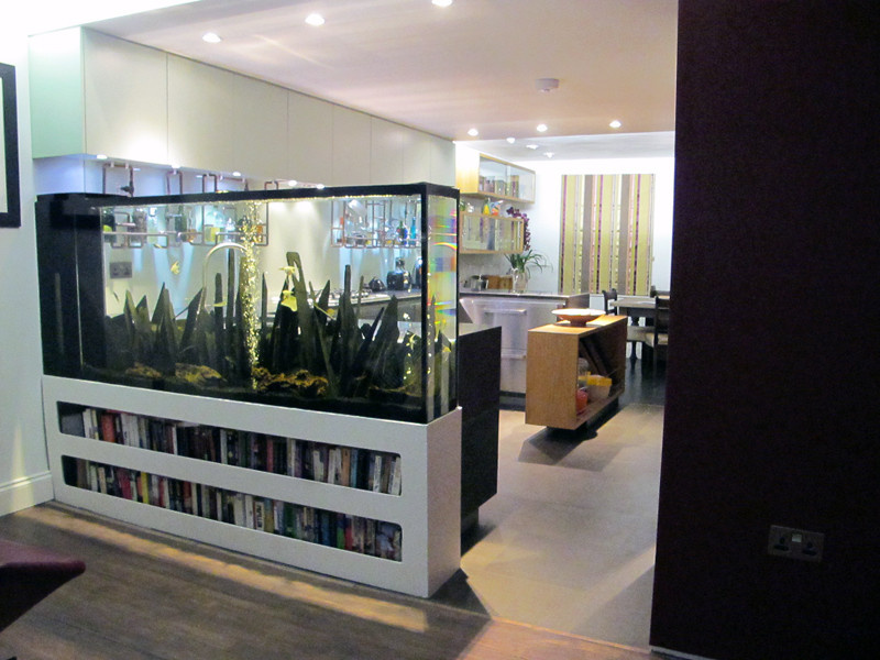 Водный мир: Как оформить аквариум внутри