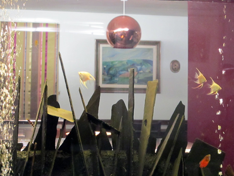 Водный мир: Как оформить аквариум внутри