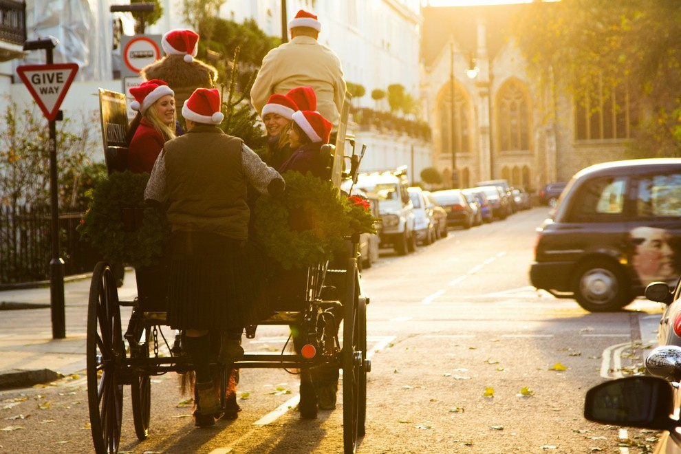 Есть такая профессия: Выращивать новогодние ёлки