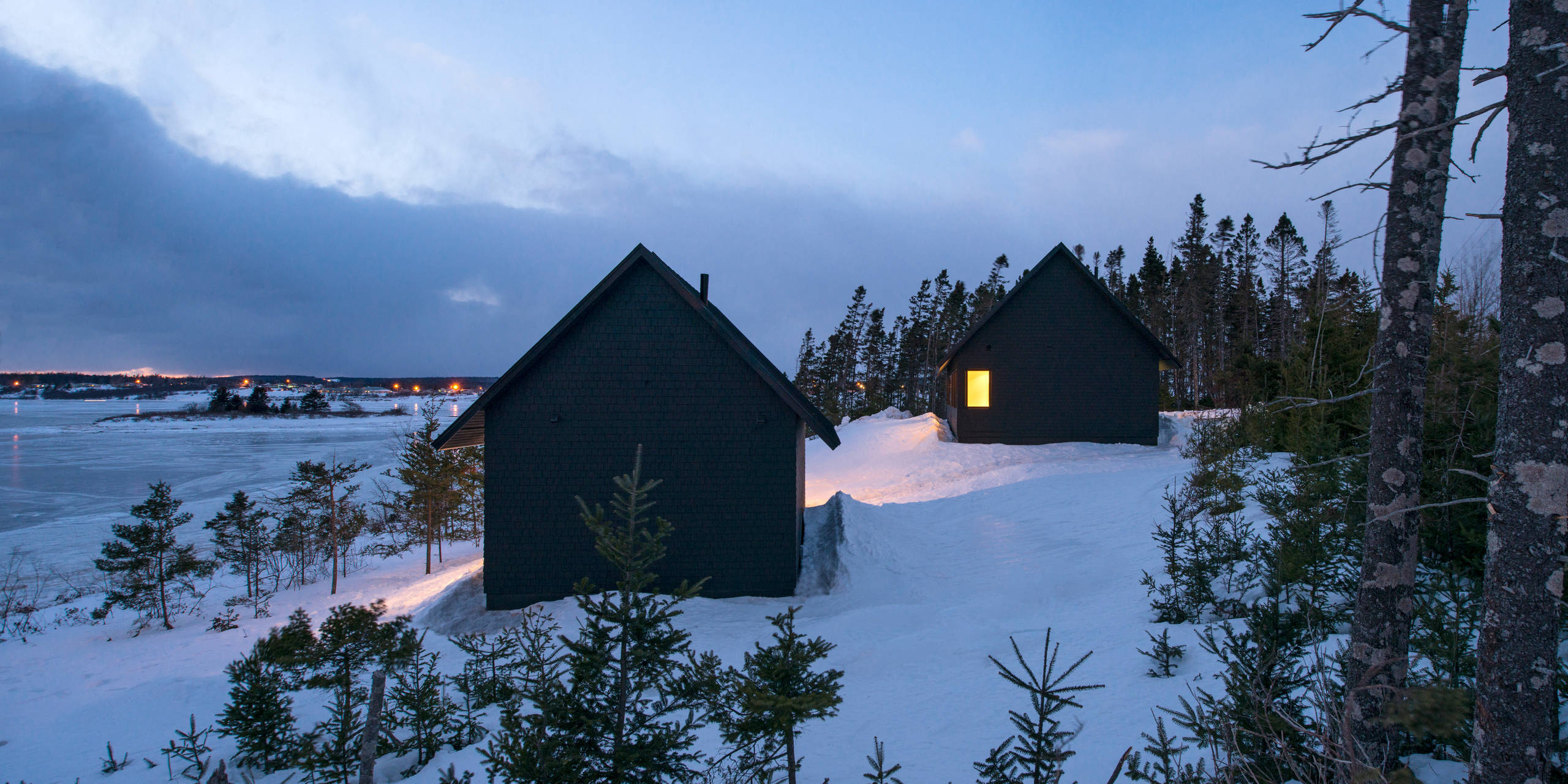 Есть такая профессия: Выращивать новогодние ёлки