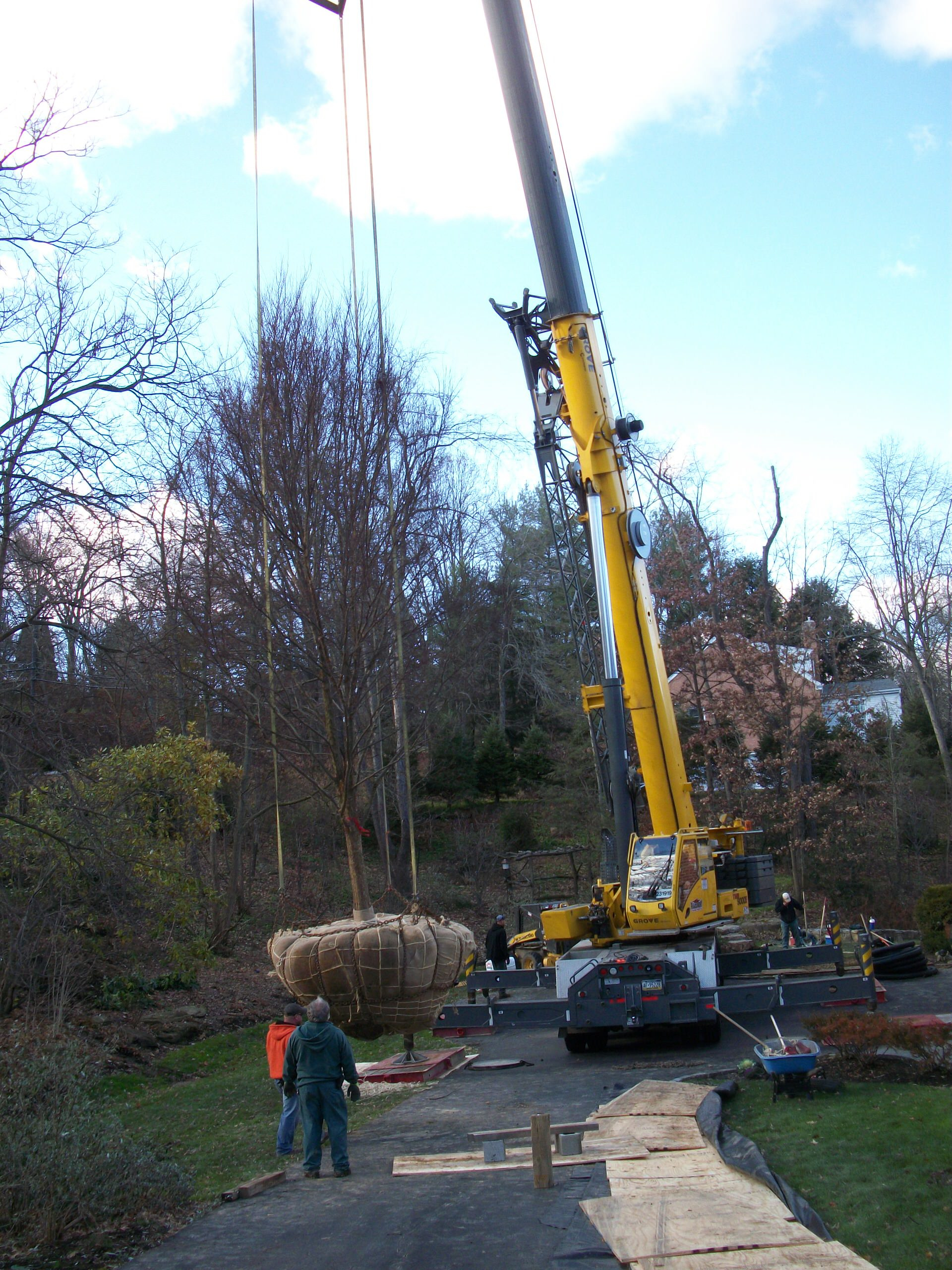 Ленивый сад: 17 советов, которые сэкономят вам силы