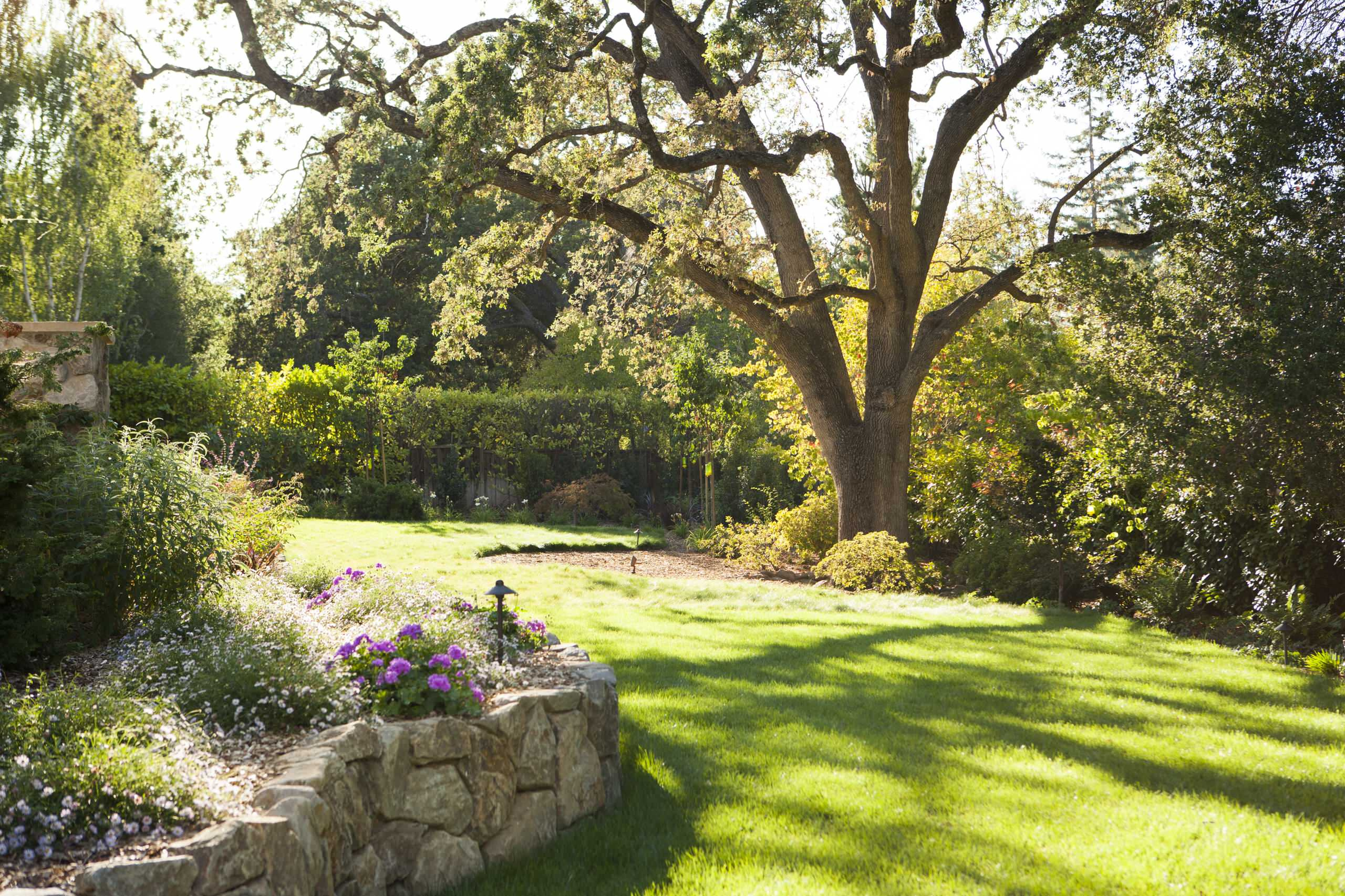 Ленивый сад: 17 советов, которые сэкономят вам силы