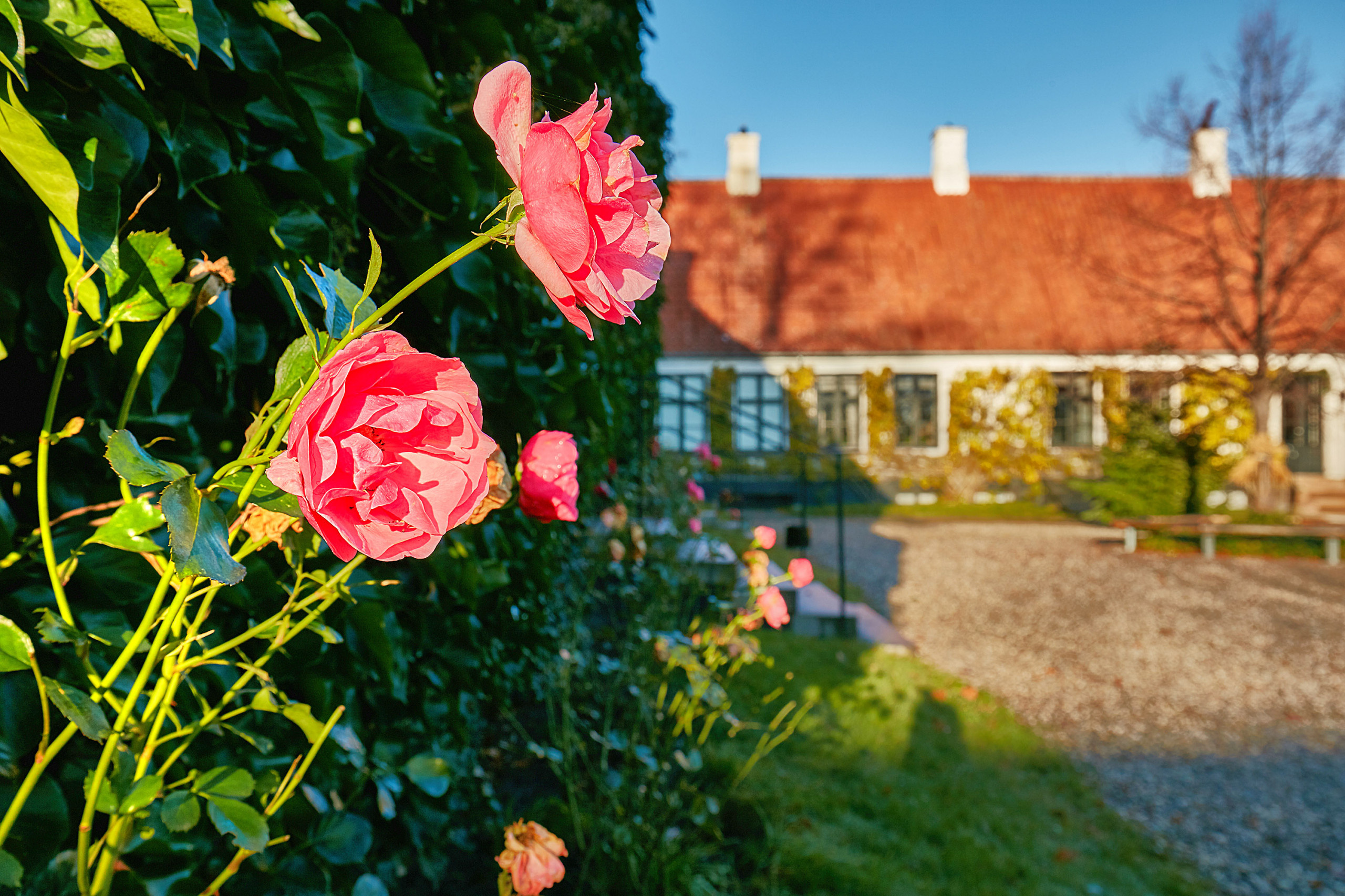 Houzz Дания: Дом Карен Бликсен, баронессы и писателя