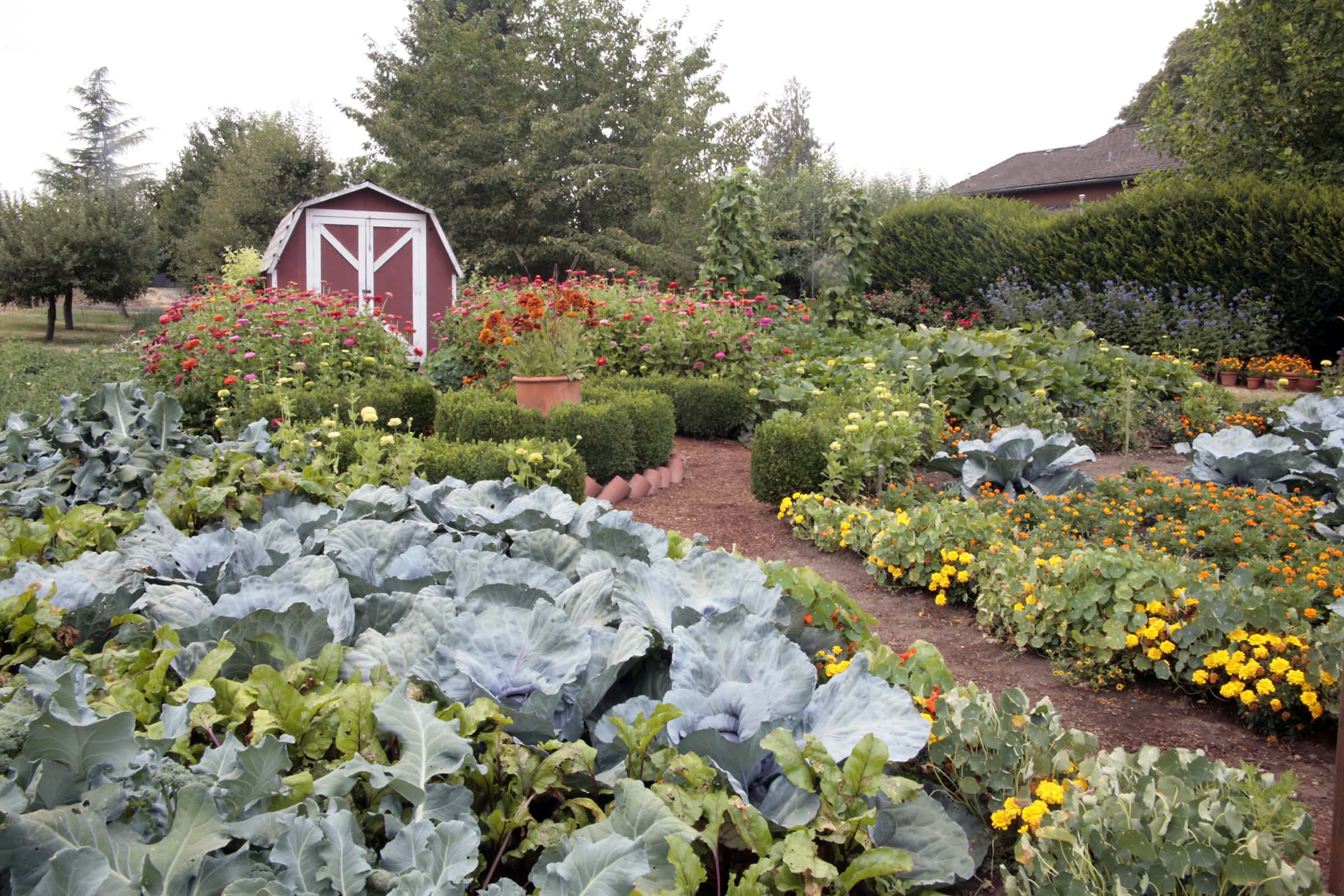 До чего дошел прогресс: Умные технологии в вашем саду