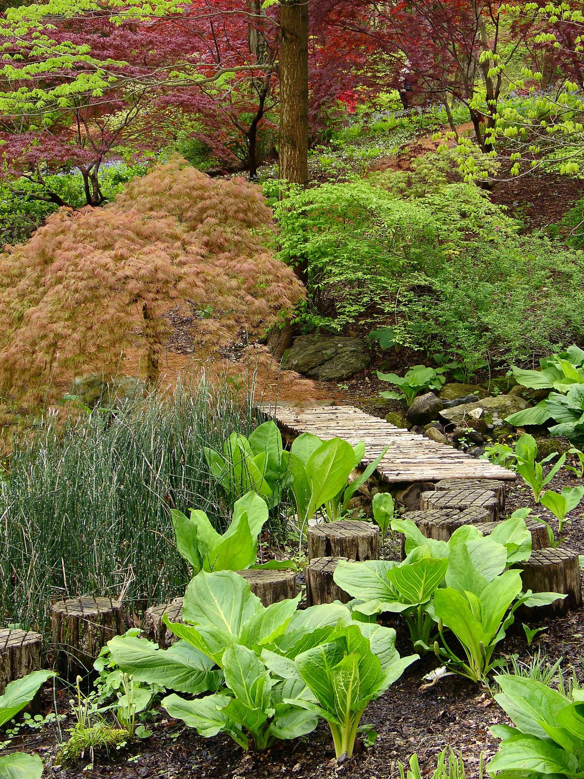 Микротренд: Как прописать спилы и срезы дерева в интерьере