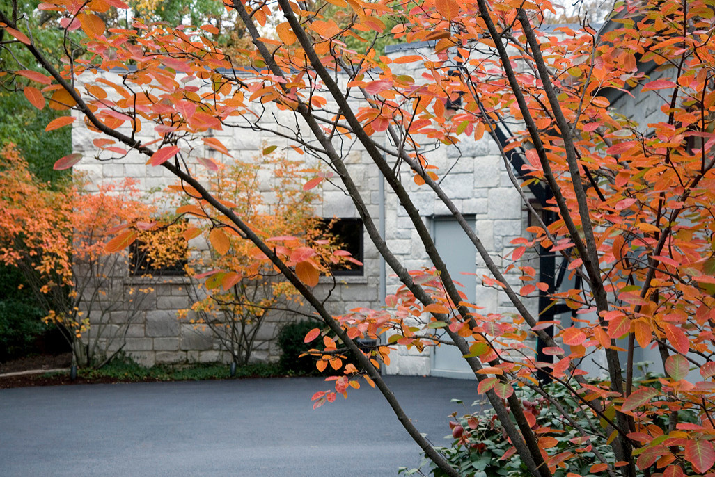 Хороший вопрос: Как получить сад, красивый до поздней осени