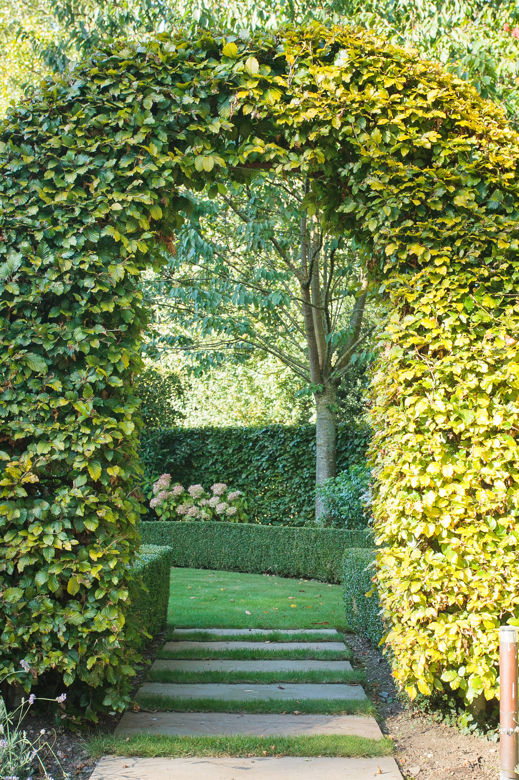 Хороший вопрос: Как получить сад, красивый до поздней осени