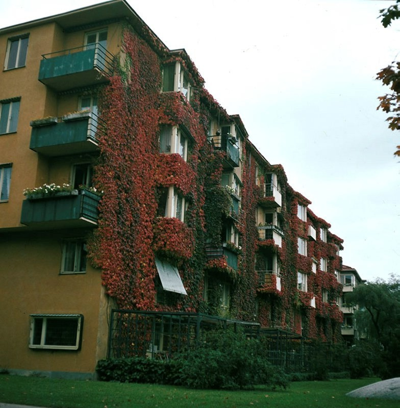 Мир дизайна: Шведские родственники русских хрущевок — lamellhus