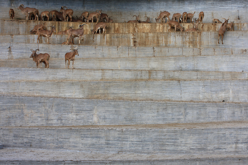 Архитектура: Красота брутализма (Часть 2)