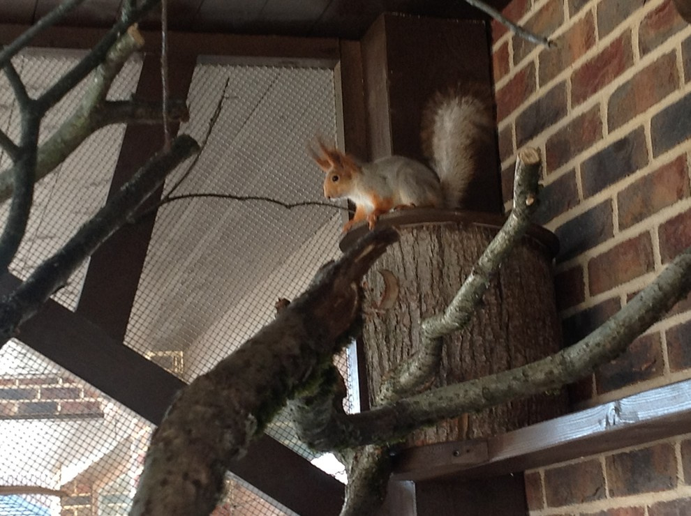 Houzz тур: 4 этажа — с бельчатником и антиквариатом