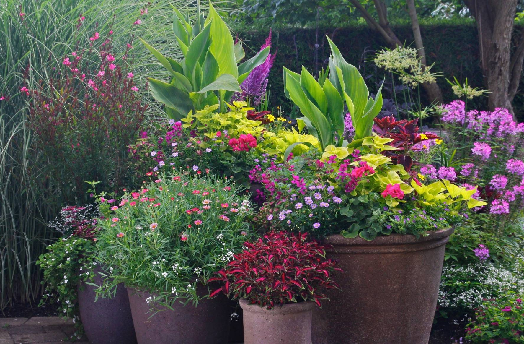 Вопрос: Сад, интерьер и зимний сад — как их связать воедино