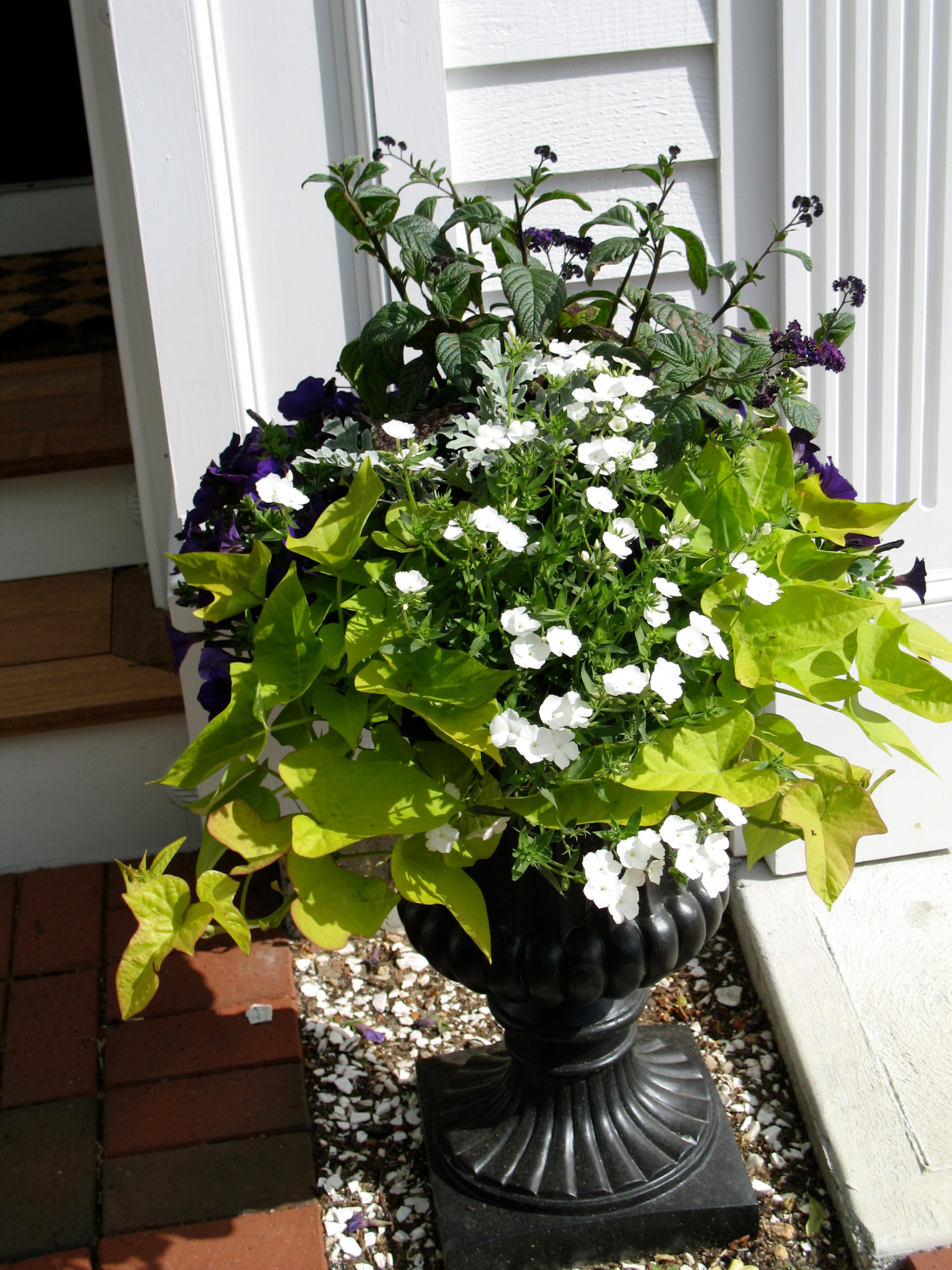 Фотоохота: 50 схем для высадки в летние кашпо