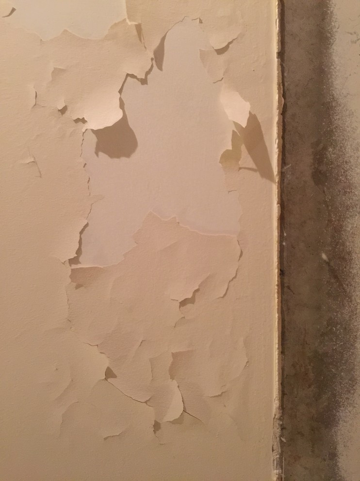 Личный опыт: Жизнь после потопа