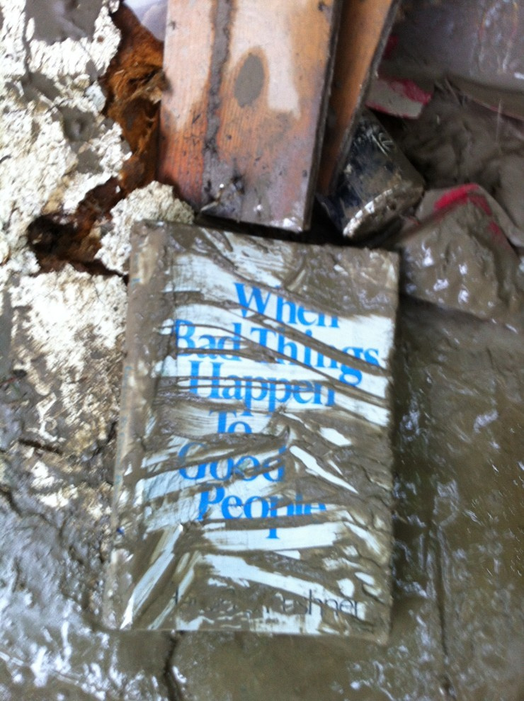 Личный опыт: Жизнь после потопа