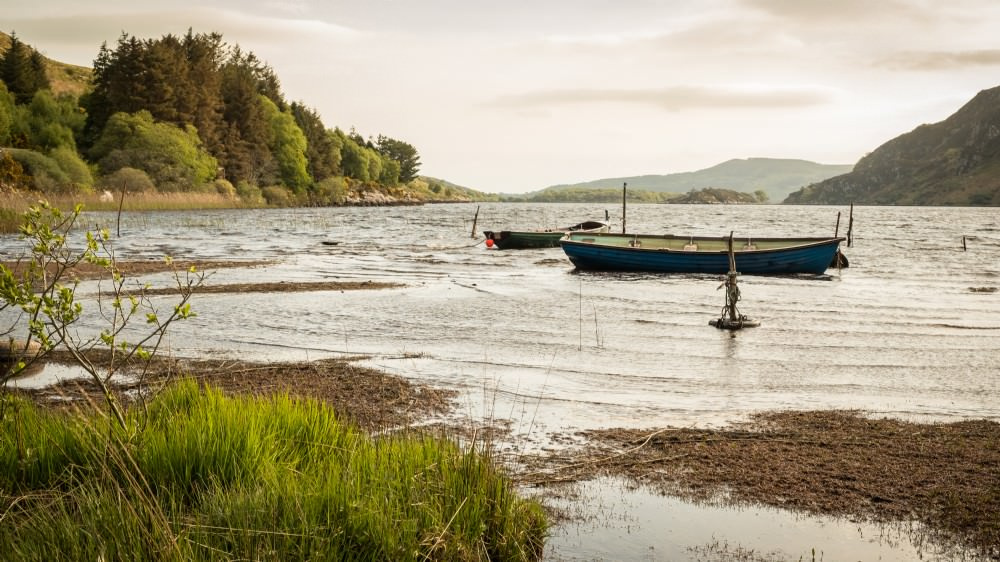 Houzz Ирландия: Коттедж в глуши среди гор и холмов