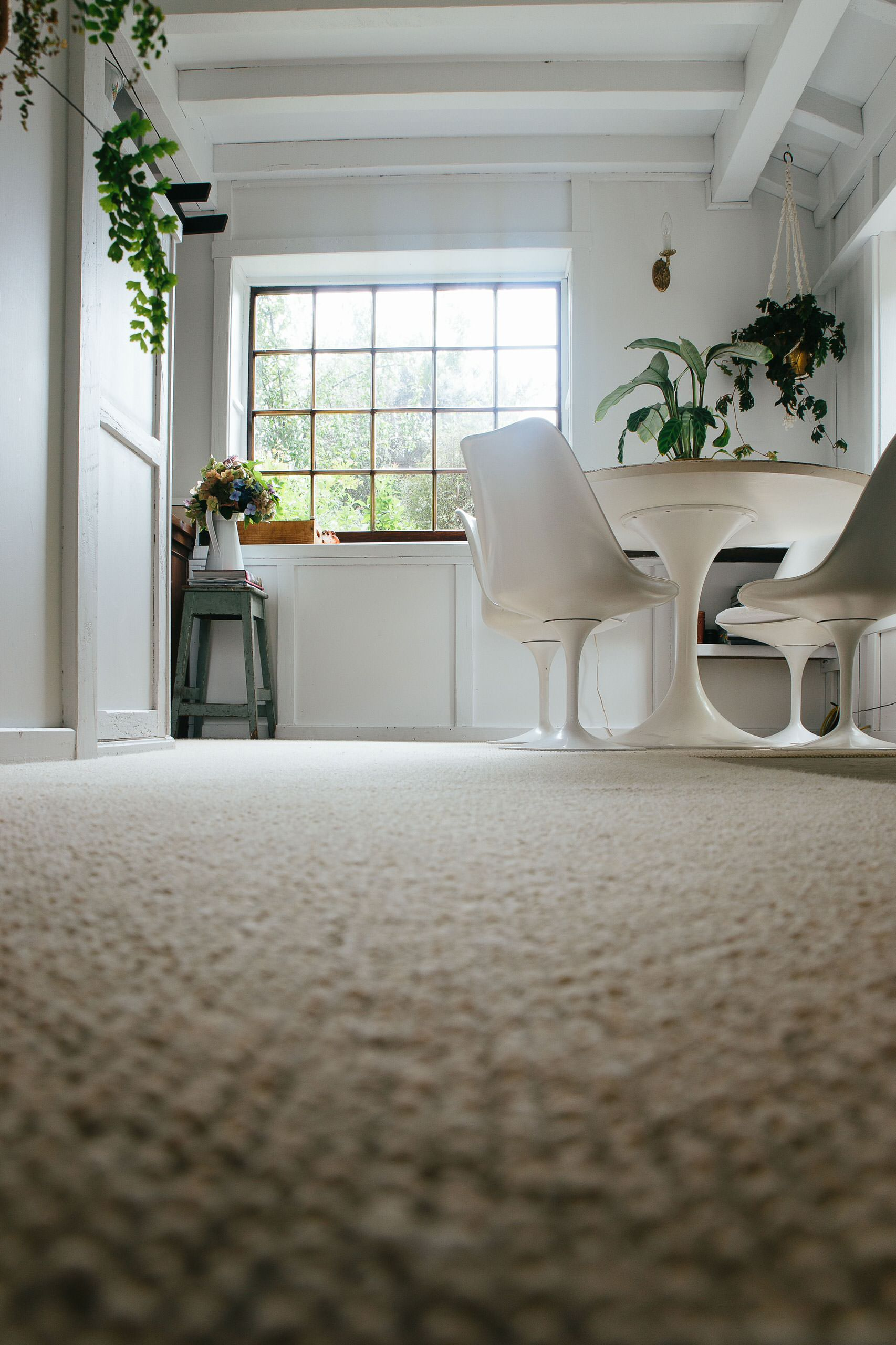 Личный опыт: Как устроен новозеландский дом