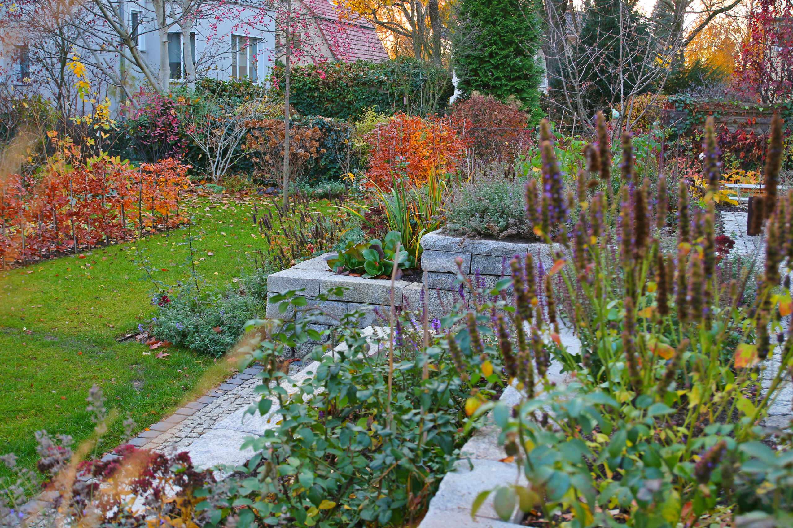 Houzz тур: Маленький сад для четырех сезонов