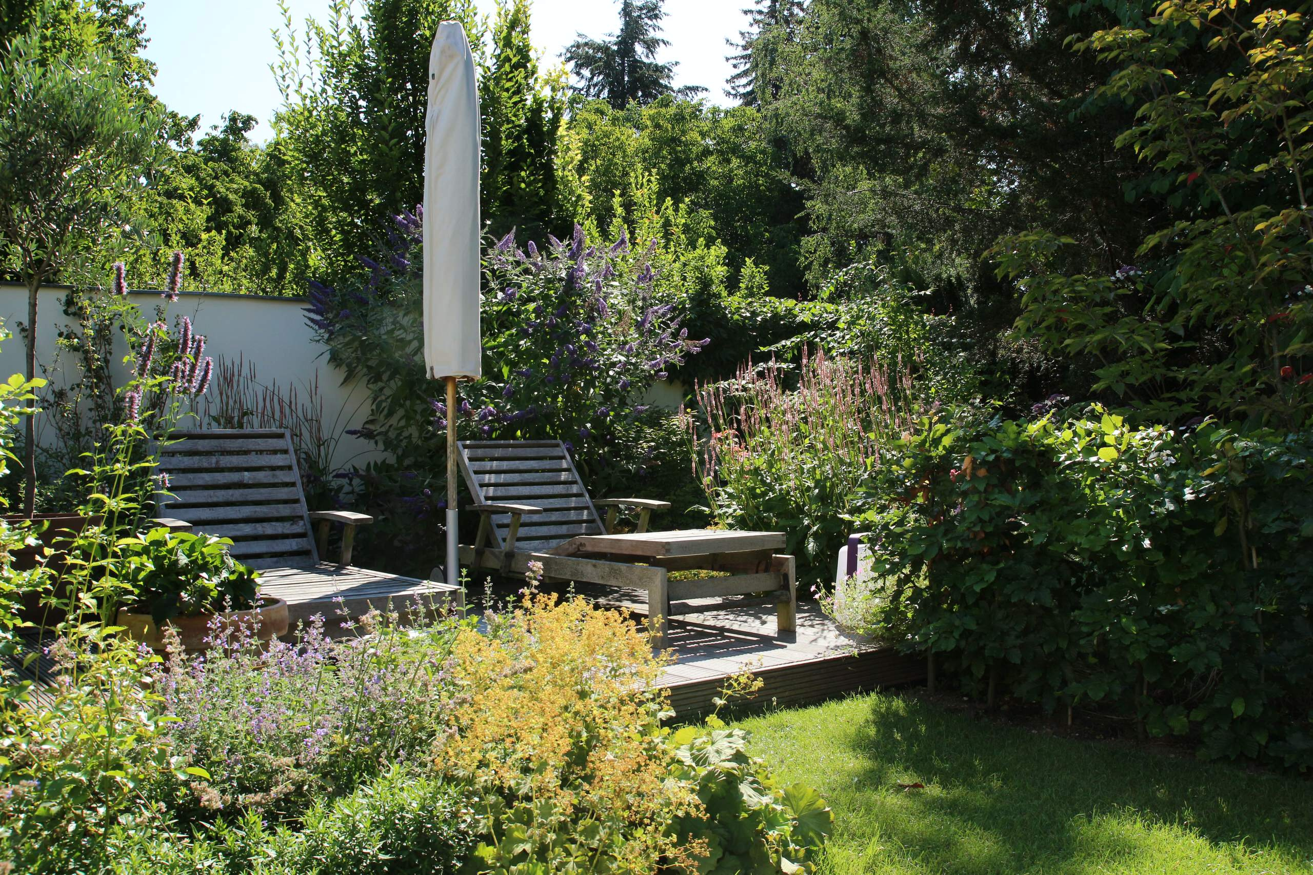 Houzz тур: Маленький сад для четырех сезонов