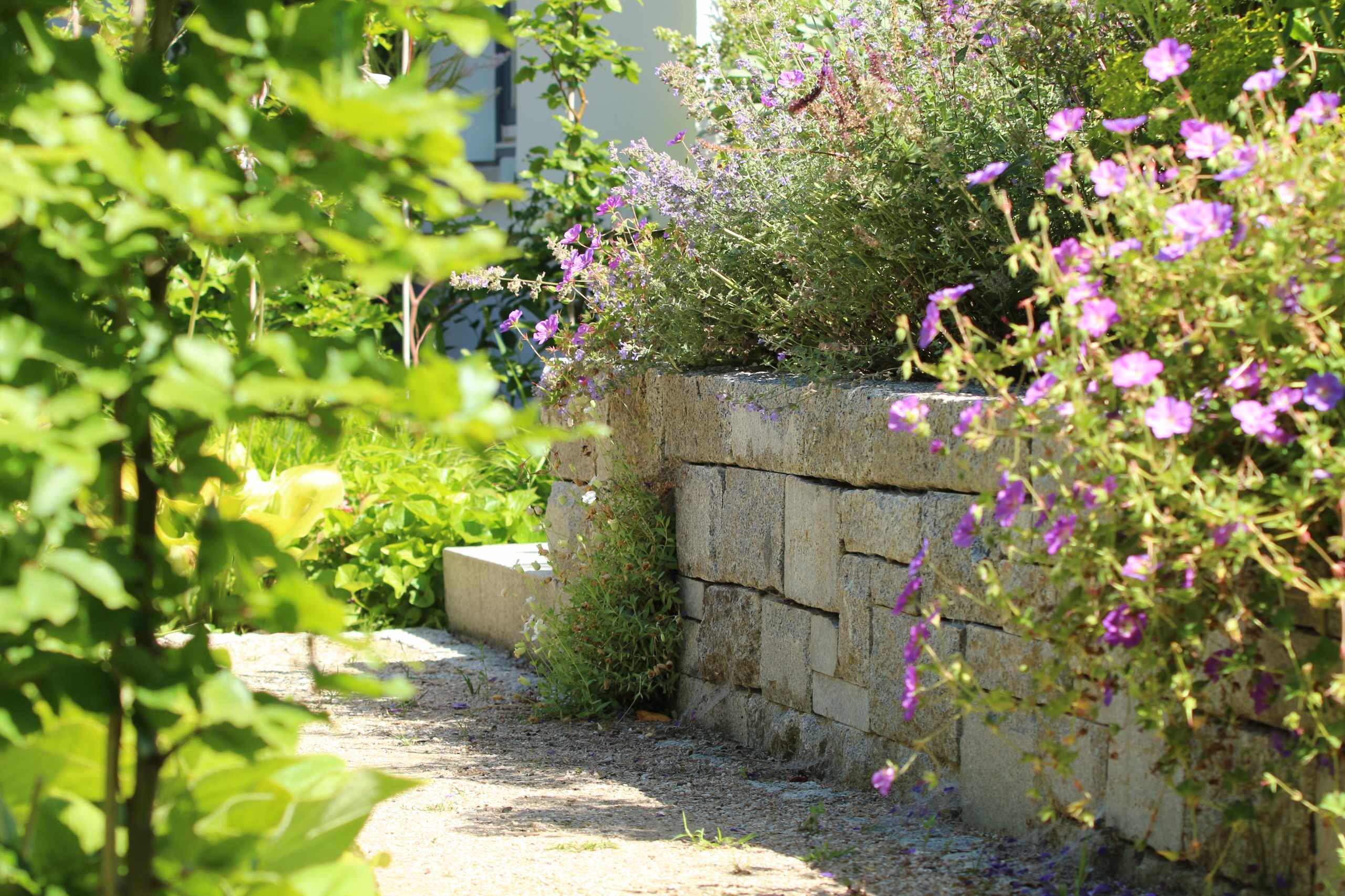 Houzz тур: Маленький сад для четырех сезонов