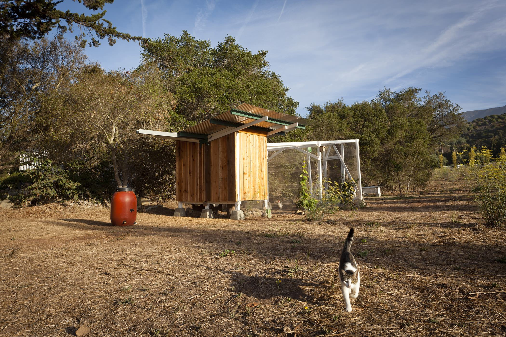 Проект недели: Курятник в Калифорнии, собирающий дождевую воду