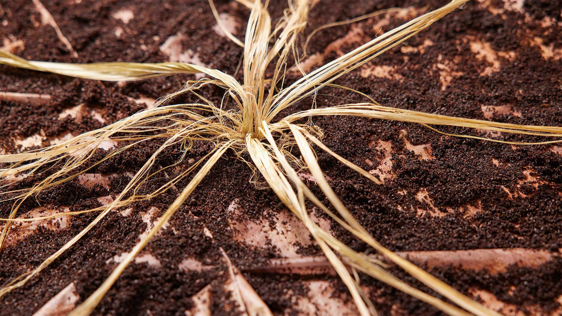 Выставка Heimtextil: Материалы будущего и биотекстиль