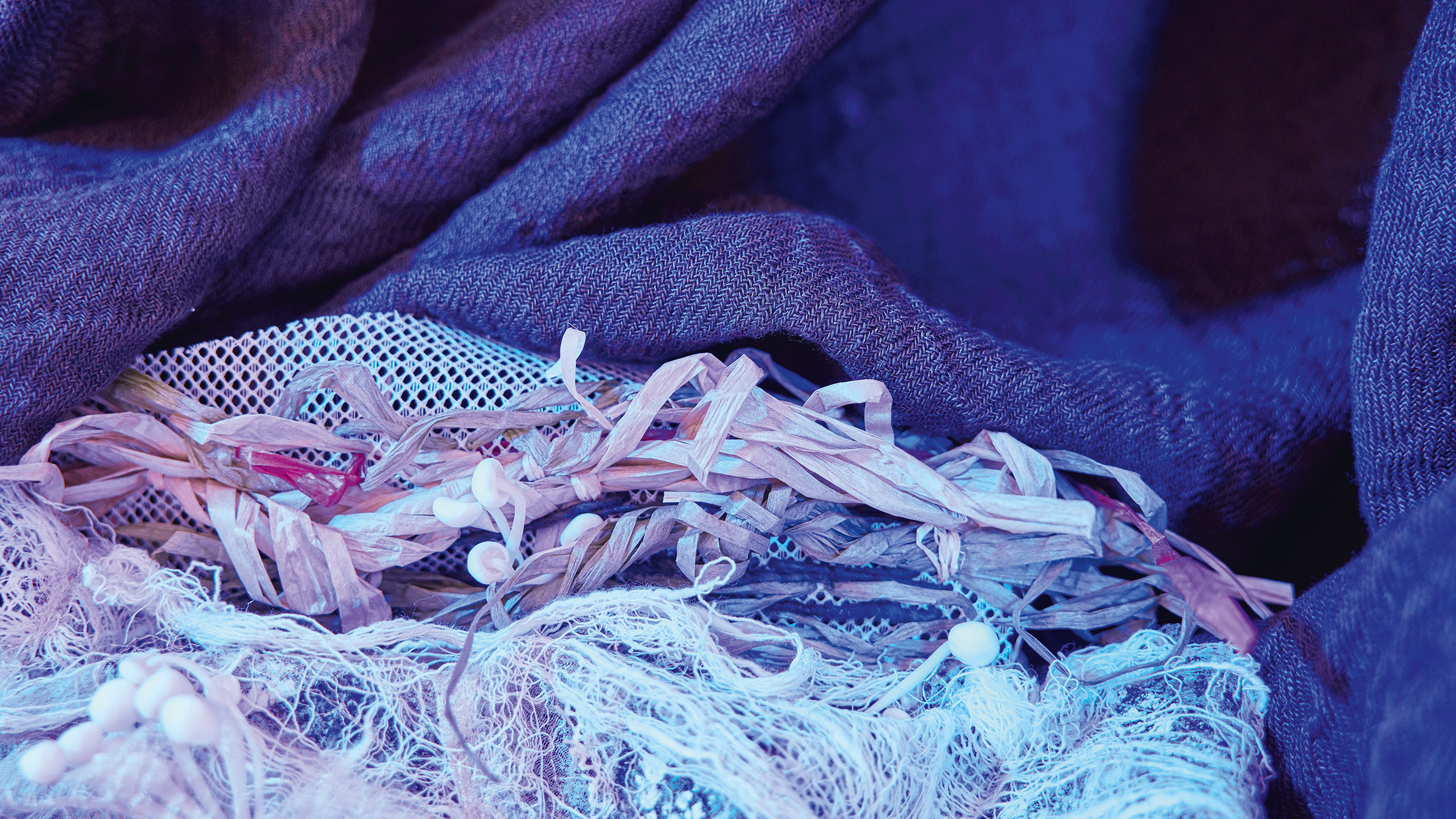 Выставка Heimtextil: Материалы будущего и биотекстиль