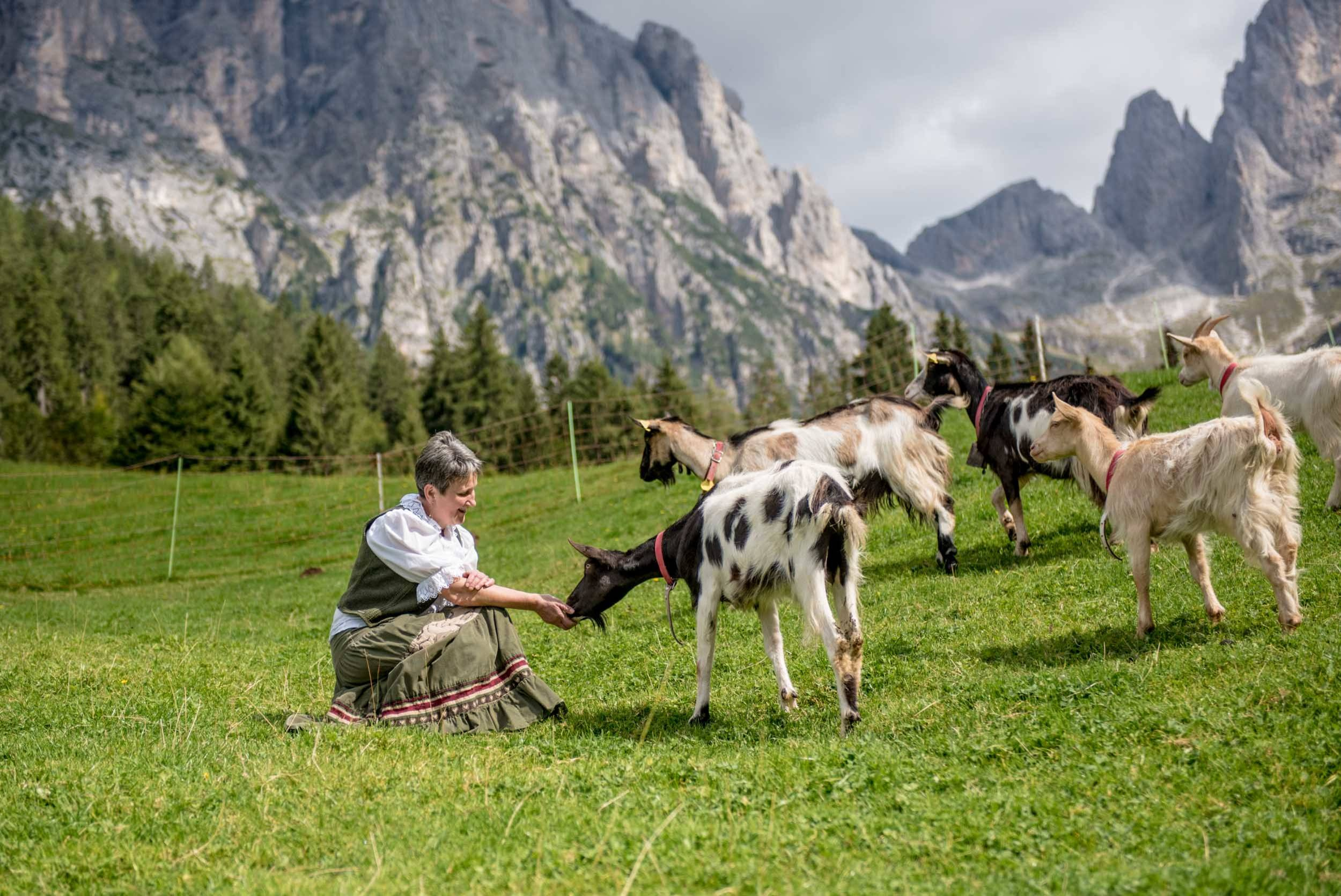 Мир дизайна: Как 9 семей живут и ведут хозяйство на своих фермах